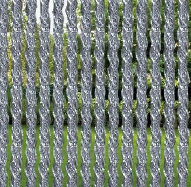 Vliegengordijn Orchidea 90x220cm (transparant) 2 Vliegengordijn Orchidea 90x220cm (transparant) - Afbeelding 2