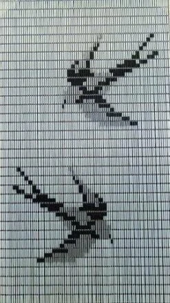 Vliegengordijn Zwaluwen Hulzen Transparant 90x210cm