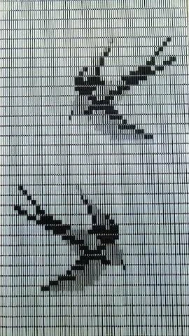 Vliegengordijn Zwaluwen Hulzen Transparant 90x210cm 1 Vliegengordijn Zwaluwen Hulzen Transparant 90x210cm